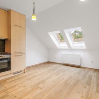 Pronájem bytu 2+kk 47 m² Plzeň Bolevec, 28. října