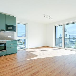 Pronájem bytu 2+kk 51 m² Plzeň Litice, Vysoká