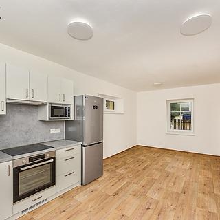 Pronájem rodinného domu 130 m² Zruč-Senec Senec, U pomníku