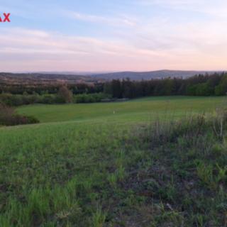 Prodej zemědělské půdy 50 064 m² Nové Mitrovice Nechanice
