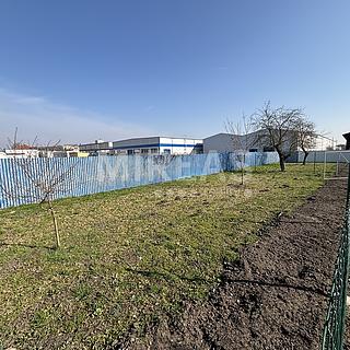 Pronájem zahrady 200 m&sup2; Lysá nad Labem