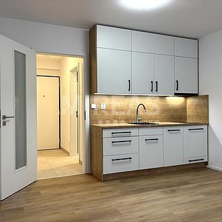 Pronájem bytu 1+kk a garsoniéry 26 m² Praha Karlín, Křižíkova