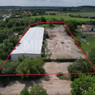 Pronájem skladu 5 353 m² Milovice Mladá, Topolová