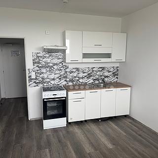 Pronájem bytu 1+kk a garsoniéry 24 m² Praha Střížkov, Děčínská
