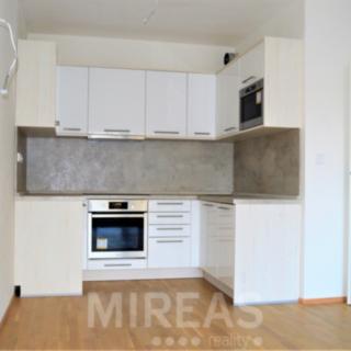 Pronájem bytu 2+kk 88 m² Lysá nad Labem, Vichrova
