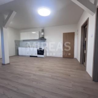Pronájem bytu 3+kk 61 m² Benátky nad Jizerou II, Pražská