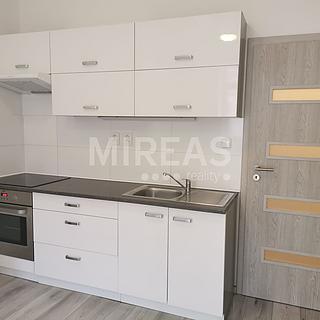 Pronájem bytu 1+kk a garsoniéry 28 m² Milovice Mladá, Slepá