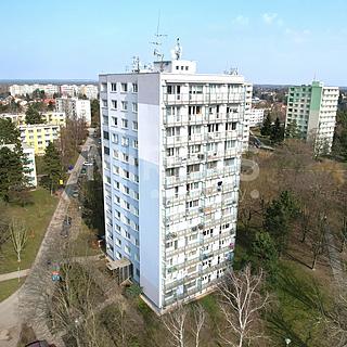 Prodej bytu 2+1 52 m² Čelákovice, Spojovací