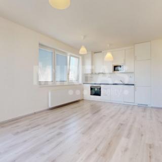 Pronájem bytu 2+kk 55 m² Milovice Mladá, Armádní