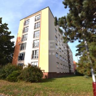 Pronájem bytu 2+1 53 m² Mladá Boleslav III, Jičínská
