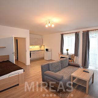 Pronájem bytu 1+kk a garsoniéry 50 m² Milovice Mladá, Armádní