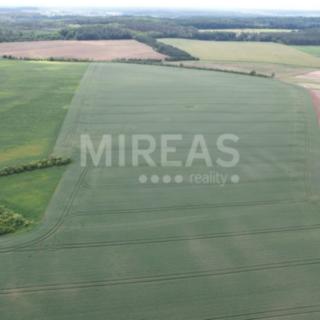 Prodej zemědělské půdy 23 867 m² Jiřice