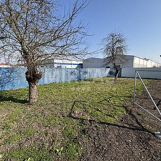 Pronájem zahrady 200 m² Lysá nad Labem