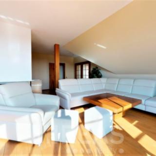 Pronájem bytu 4+kk 160 m² Benátky nad Jizerou III, Mělnická