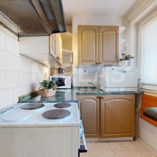 Prodej bytu 2+1 41 m² Milovice Mladá, Spojovací