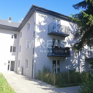 Pronájem bytu 2+kk 61 m² Milovice Mladá, Armádní