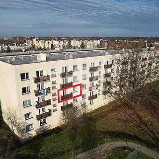 Pronájem bytu 3+1 65 m² Milovice Mladá, Braniborská