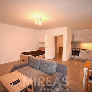 Pronájem bytu 1+kk, garsoniery 50 m&sup2; Milovice
