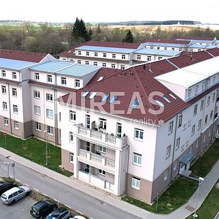 Pronájem bytu 1+kk, garsoniery 32 m² Milovice