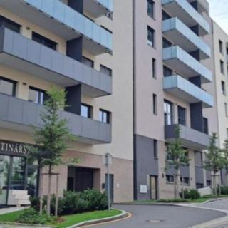 Pronájem bytu 1+kk, garsoniery 49 m² Praha