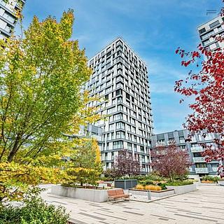 Pronájem bytu 1+kk a garsoniéry 35 m² Praha Žižkov, Olšanská