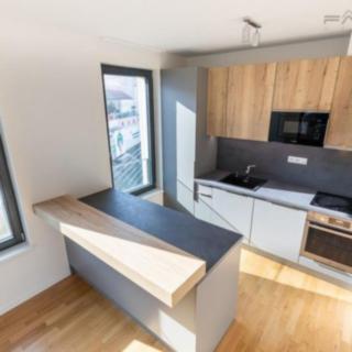 Pronájem bytu 3+kk 70 m² Praha Žižkov, U Viktorie