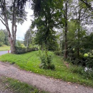 Prodej zemědělské půdy 200 m² Petrovice u Sušice