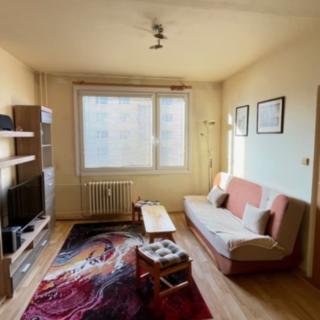 Pronájem bytu 1+1 37 m² Hradec Králové