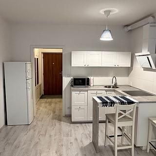 Pronájem bytu 1+kk, garsoniery 31 m² Hradec Králové