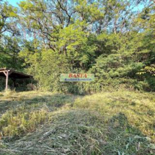 Pronájem zahrady 300 m² Ivančice