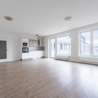 Pronájem bytu 1+kk, garsoniery 55 m² České Budějovice