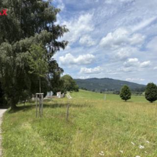 Prodej louky 5 030 m² Želnava