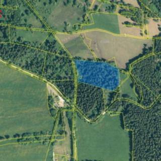 Prodej lesa 13934 m² Borová Lada