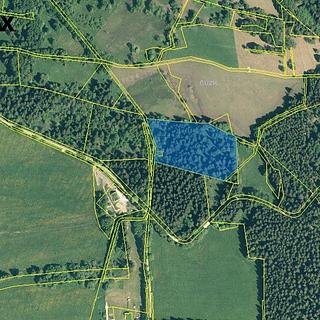 Prodej lesa 13 934 m² Borová Lada Černá Lada