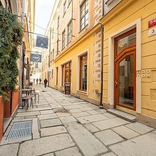 Pronájem bytu 2+1 70 m² České Budějovice 1, Plachého