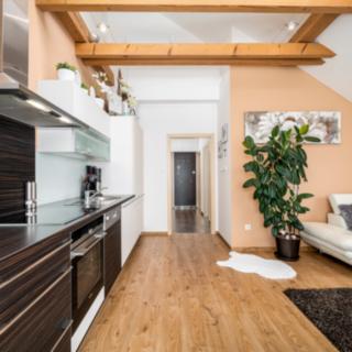 Prodej bytu 3+kk 62 m² Včelná, Dolní