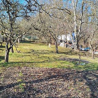 Prodej zahrady 559 m² Strakonice I
