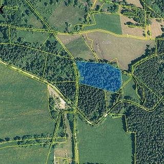 Prodej lesa 13934 m&sup2; Borová Lada