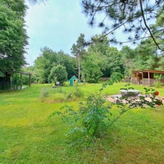 Pronájem zahrady 1164 m² České Budějovice