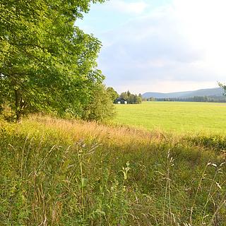 Prodej ostatních pozemků 8040 m&sup2; Borová Lada