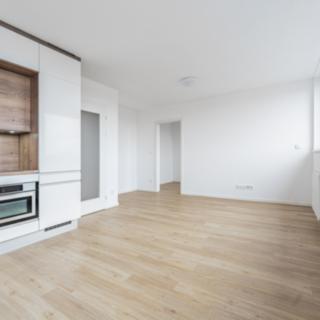 Pronájem bytu 2+kk 44 m² České Budějovice