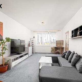 Prodej bytu 2+1 64 m² Borovany, Nová