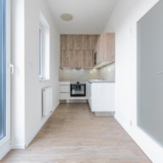 Pronájem bytu 1+kk a garsoniéry 40 m² České Budějovice 2, K. Šafáře