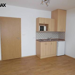 Pronájem bytu 1+kk a garsoniéry 21 m² České Budějovice 3, A. Trägera