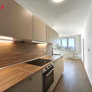 Pronájem bytu 1+1 46 m² České Budějovice 3, Kubatova