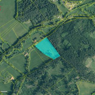 Prodej ostatního pozemku 13 593 m² Zdíkov Nový Dvůr