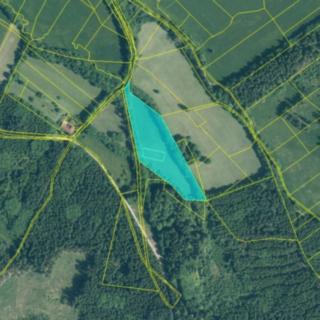 Prodej louky 14292 m² Strašín