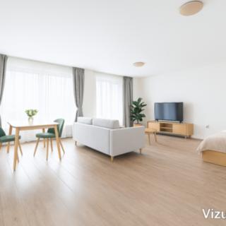 Pronájem bytu 1+kk, garsoniery 55 m² České Budějovice