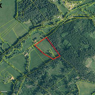 Prodej ostatních pozemků 13593 m&sup2; Zdíkov