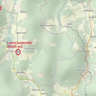 Prodej lesa 29 205 m² Borová Lada